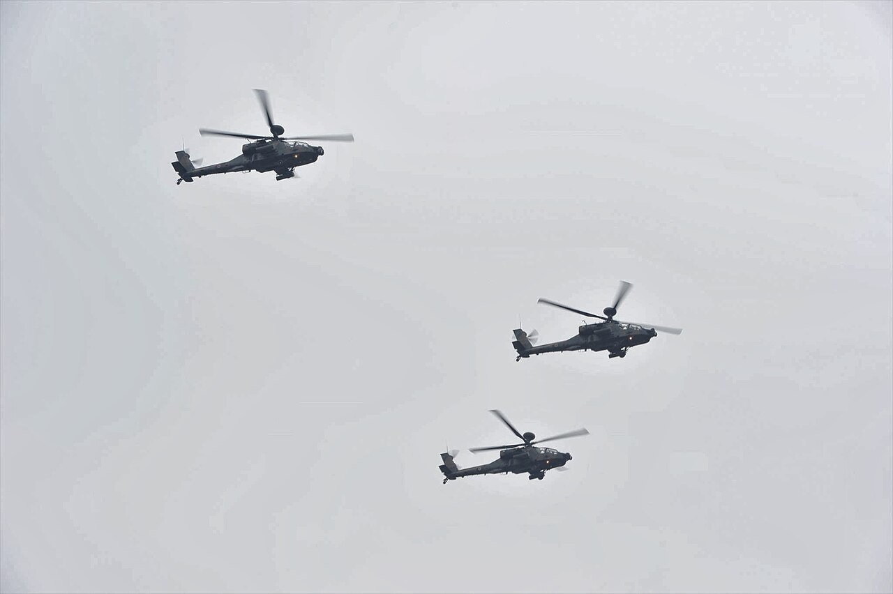12 07 003 R 自衛隊記念日 観閲式(Parade of Self-Defense Force) 54.jpg